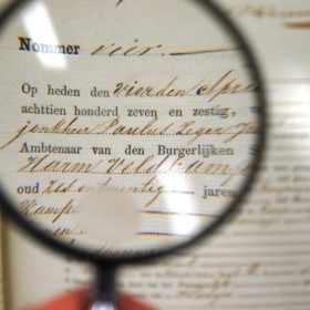 Nieuwe scans online